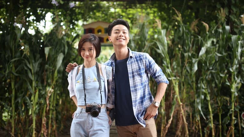 Diary of Fireflies still