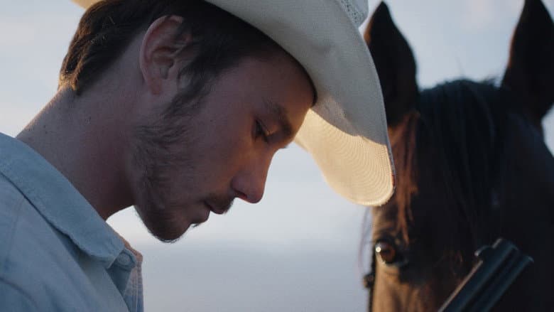 The Rider still