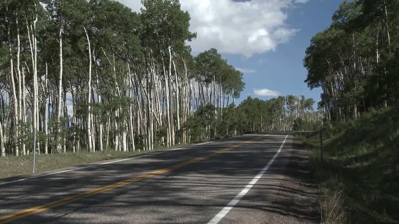 Small Roads still