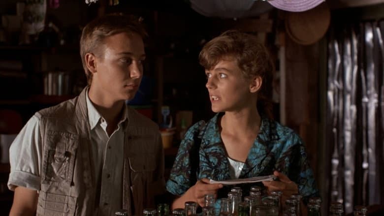 Cheetah still