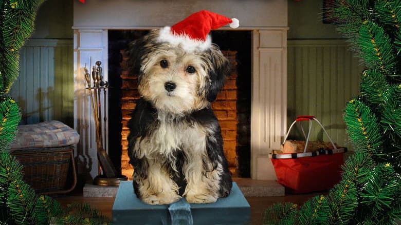 Santa Buddies still