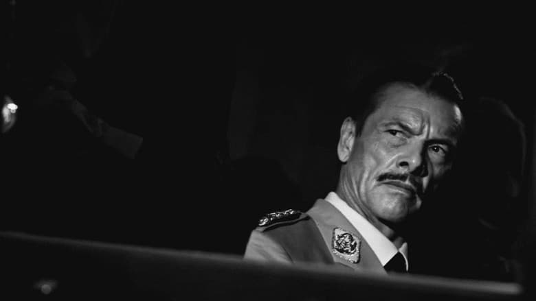 Curtiz still