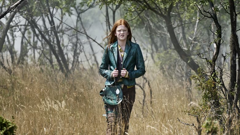 Wildwitch still