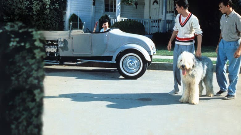 The Shaggy Dog still