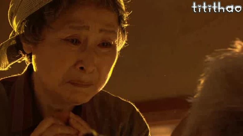 The Lawyer of Shimane still