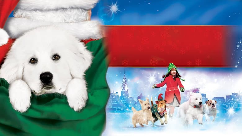 The Search for Santa Paws still