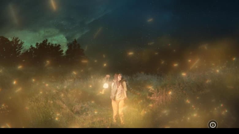 The Girl, The Hunter, & The Firefly still