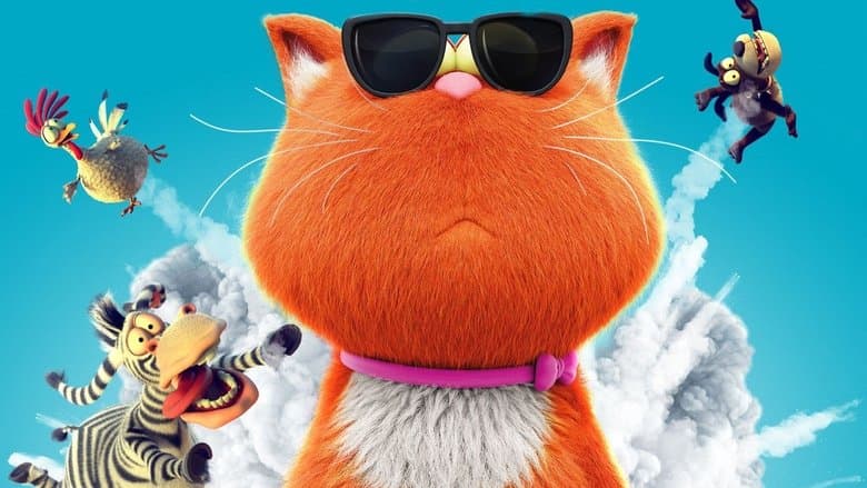 Spy Cat still