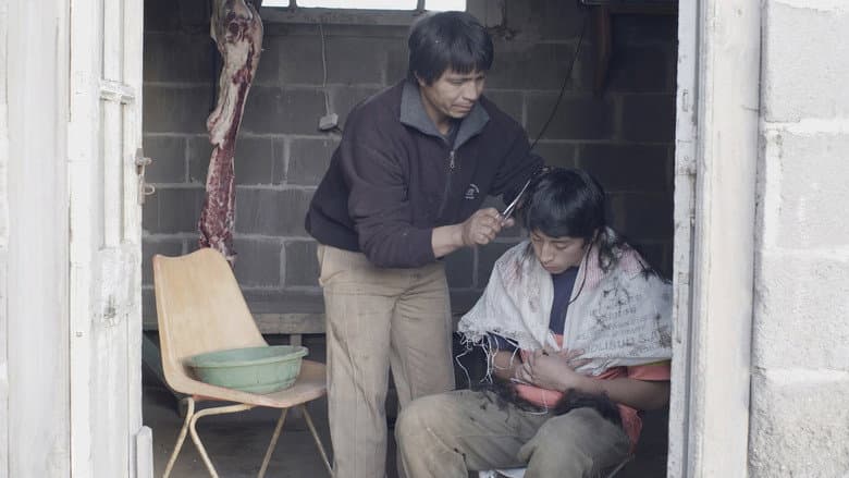 Comparsa still