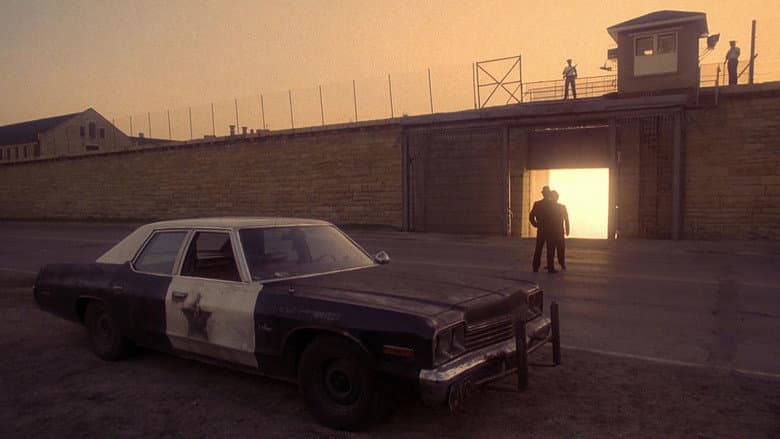 The Blues Brothers still
