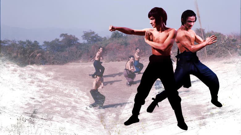 Shaolin Martial Arts still