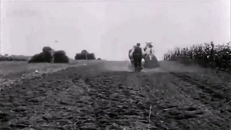 Prisoners of Land still