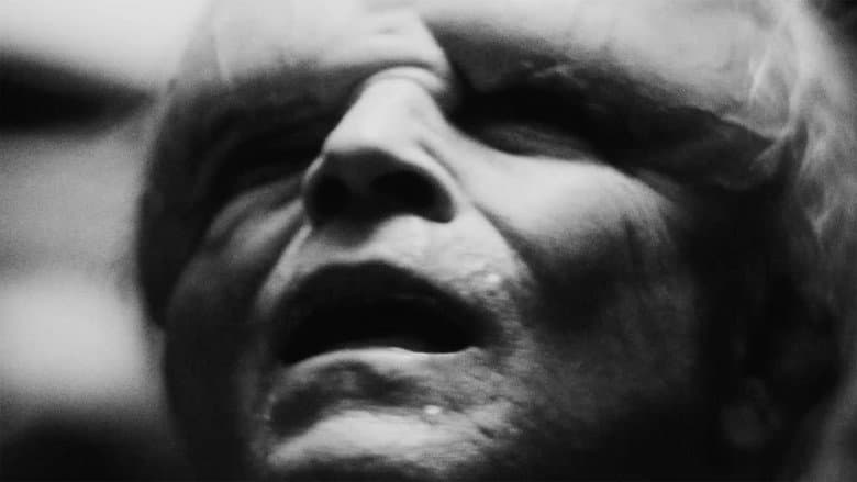 Divinity still
