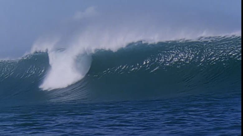 Big Wave still