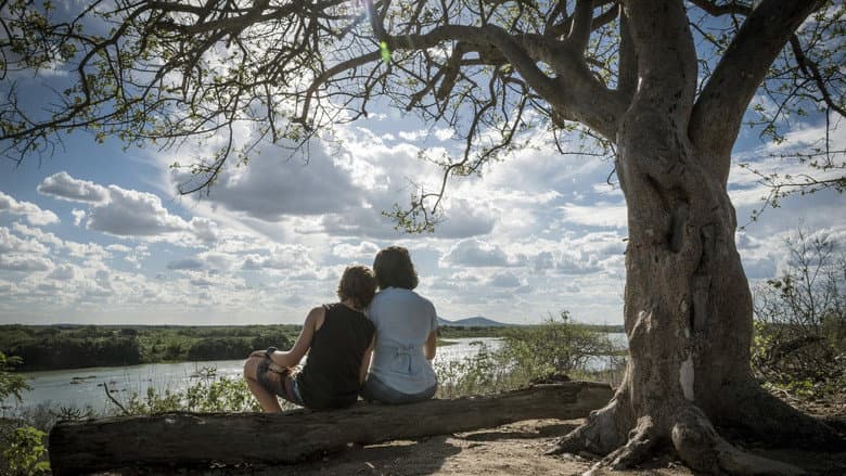 Acqua Movie still