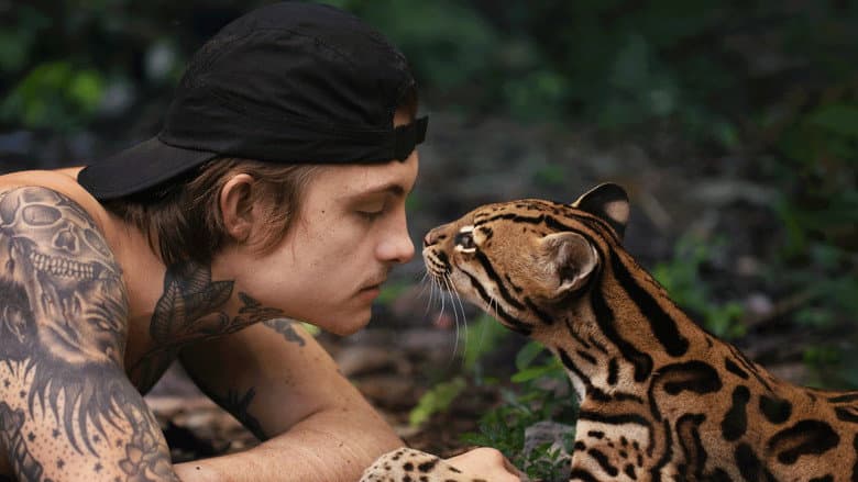 Wildcat still