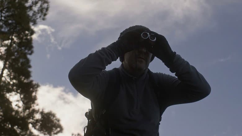 Meteor still
