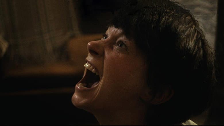 You Are Not My Mother still