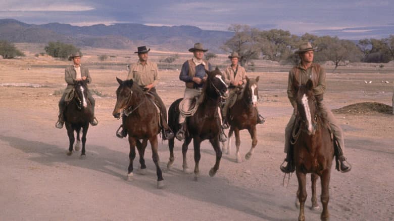 The Sons of Katie Elder still