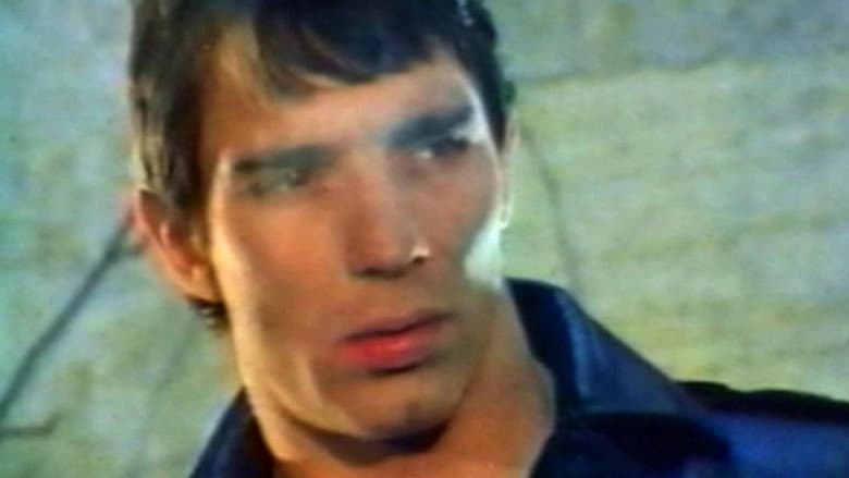 Mondo Homo: A Study of French Gay Porn in the '70s still