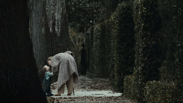 The Curious Birth of Benjamin Button still