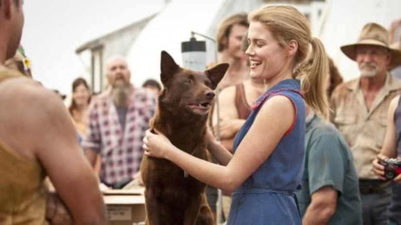 Red Dog still