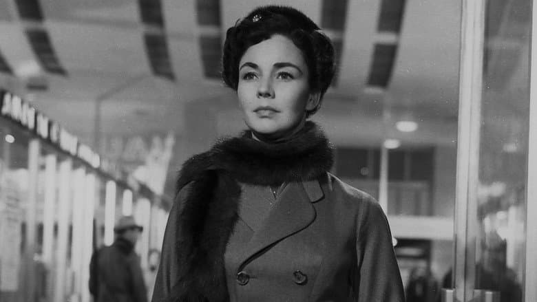 Indiscretion of an American Wife still