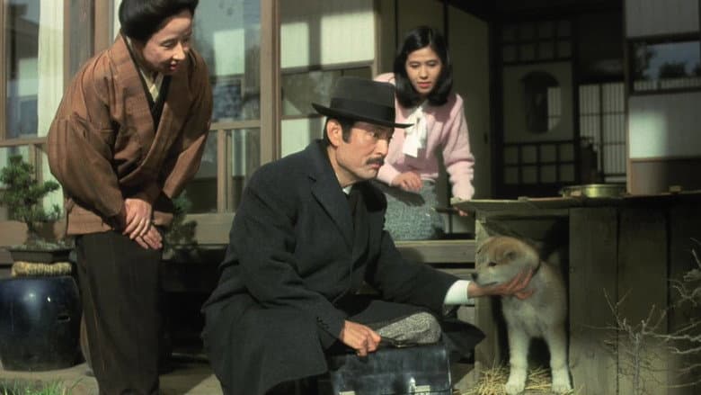 Hachiko still
