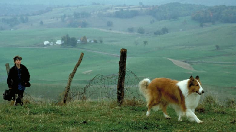 Lassie still