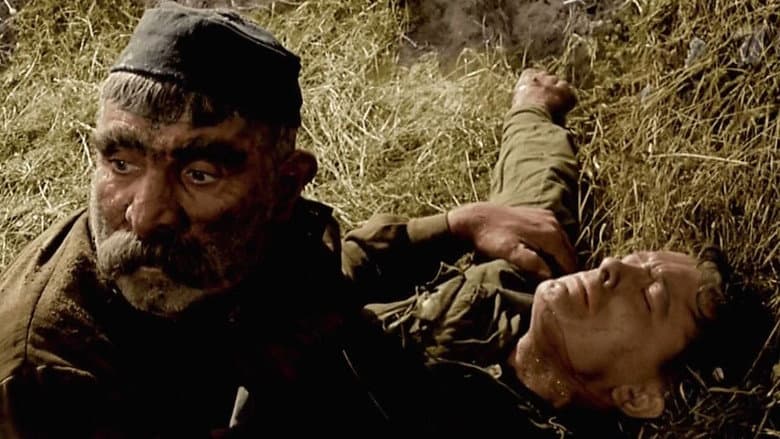 Father of a Soldier still