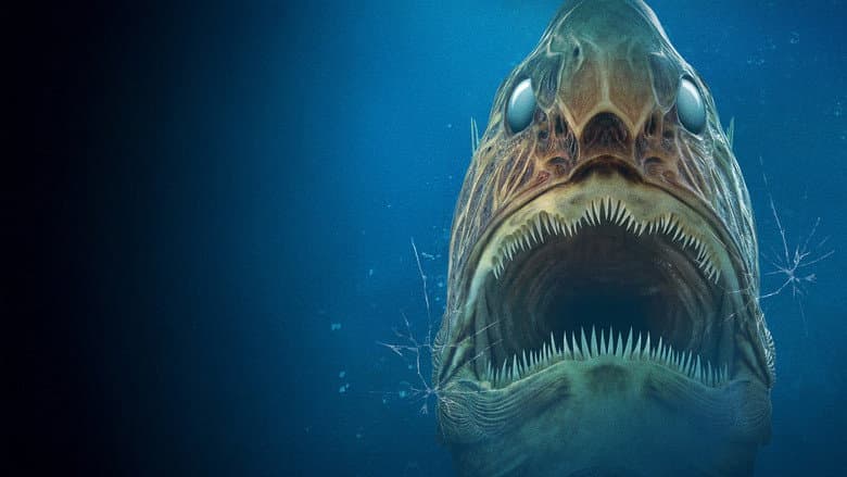 Aquarium of the Dead still