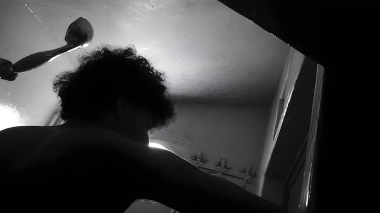 Shadows of Silence still