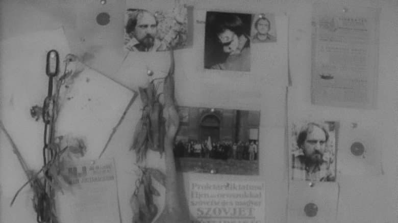 In memoriam Hajnóczy Péter still