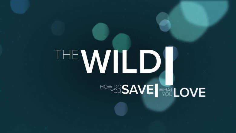 The Wild still