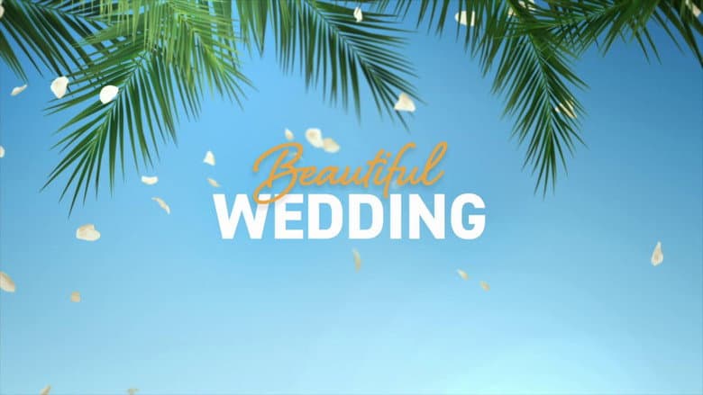 Beautiful Wedding still