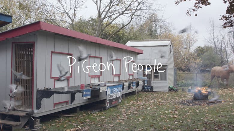 Pigeon People still