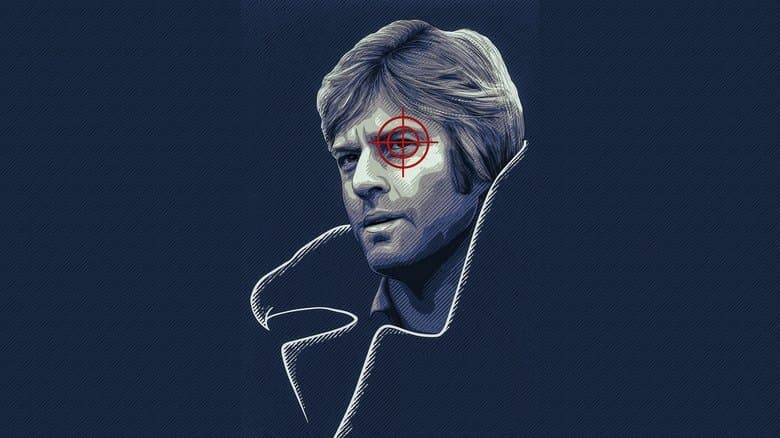 Three Days of the Condor still