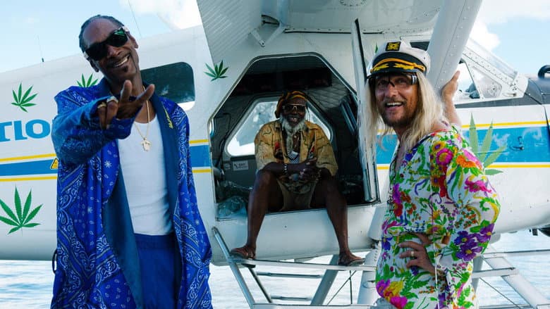 The Beach Bum still