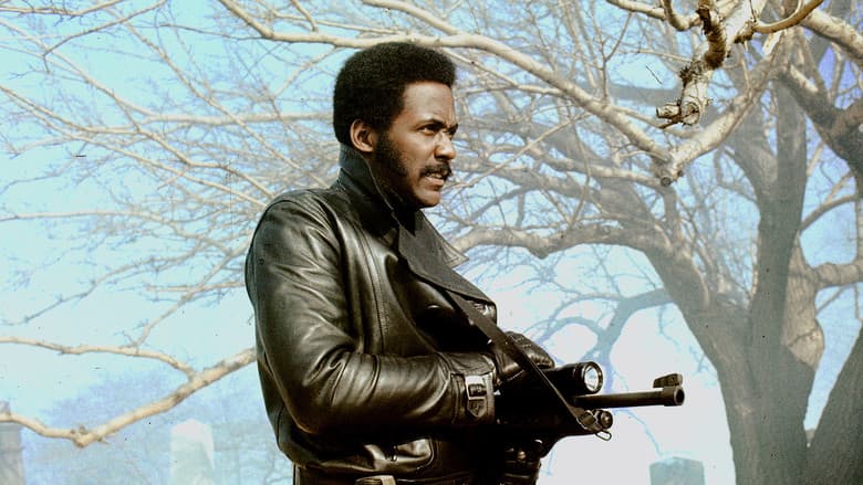 Shaft's Big Score! still