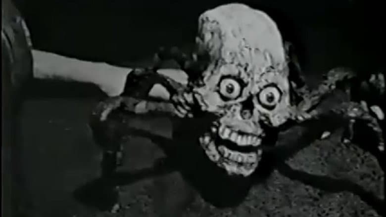 Debbie Does Damnation still