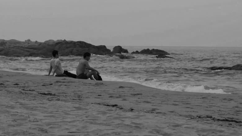 Black Summer still