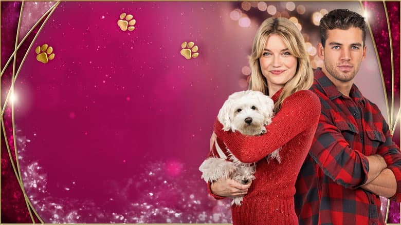 Dognapped: Hound for the Holidays still