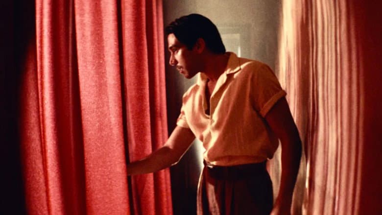 Narciso still