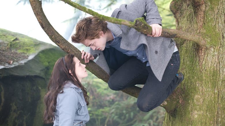 Twilight still