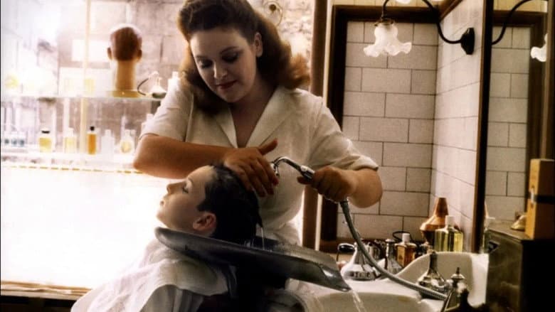 The Hairdresser's Husband still