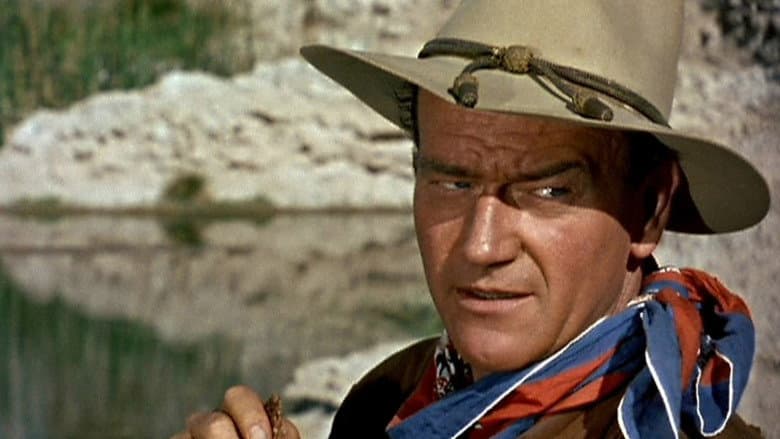 Hondo still