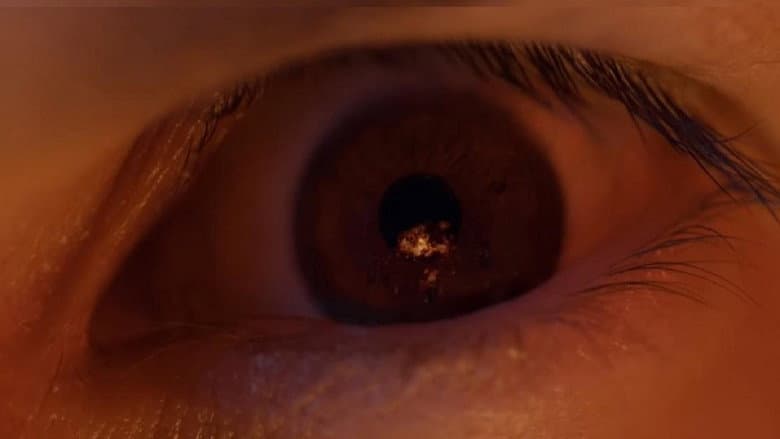 Wolf still