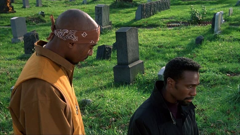 Above the Rim still