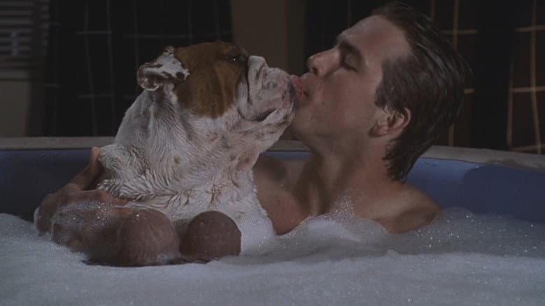 National Lampoon's Van Wilder still