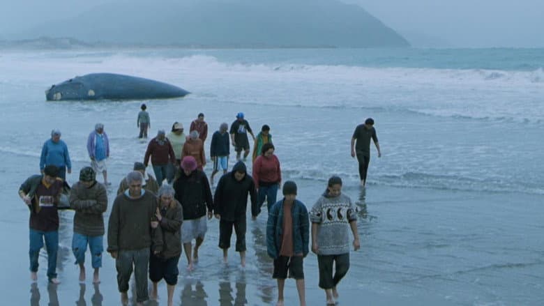 Whale Rider still